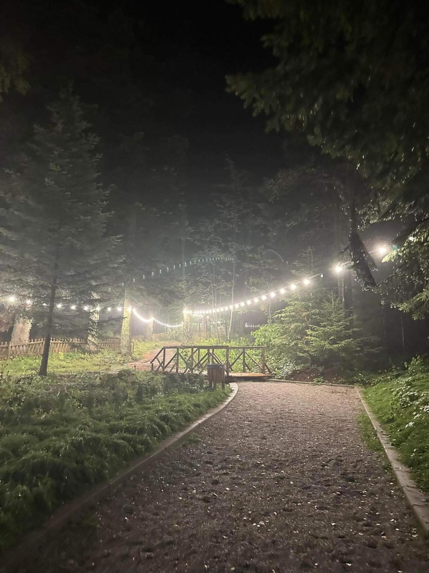 Cozy Riverside Pine Studio E5 Borovets Exterior photo